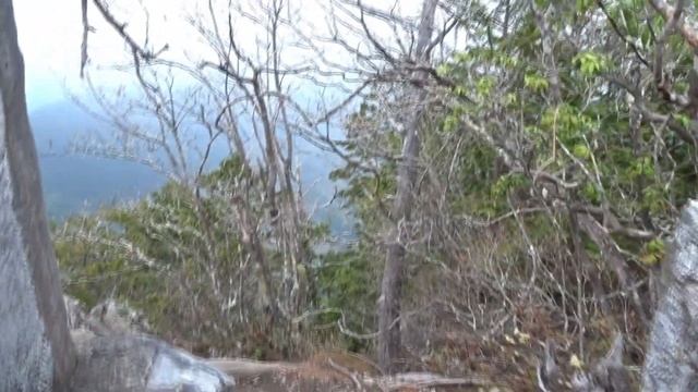 豊川稲荷と三峯神社でごはん　「VOICEVOX：ずんだもん」