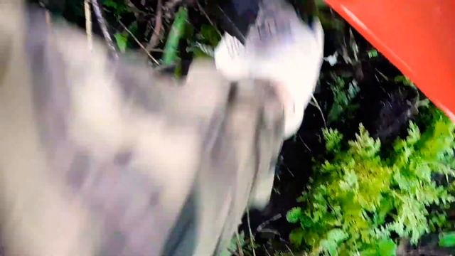 Мотоблок Агат подготовка земли?гусиные лапки смотреть онлайн