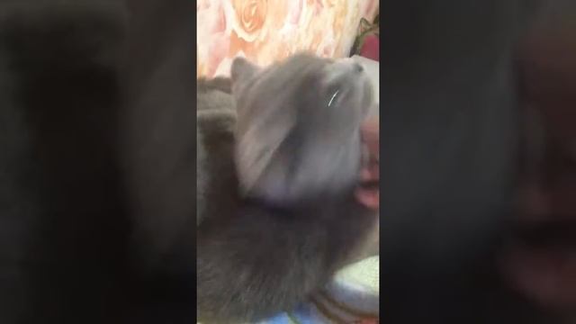 Как убрать кровать смотреть онлайн