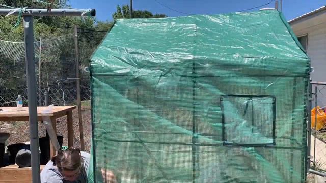 Budget Greenhouse build. смотреть онлайн