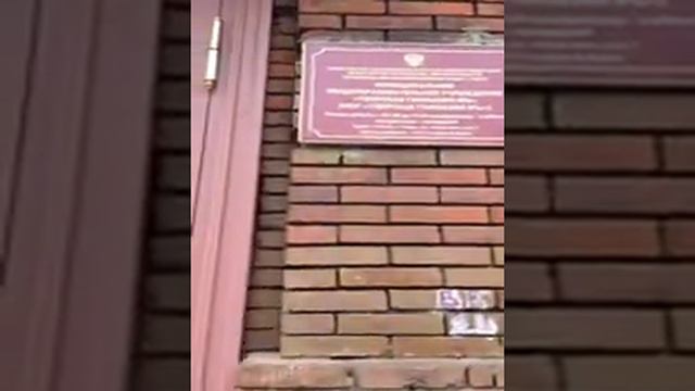 Сейчас в эфире — Cameleon Live для iPhone смотреть онлайн