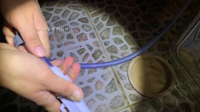 [Sub] 온라인배송식물언박싱/ 분갈이매트만들고 베란다정원 꾸미는 일상