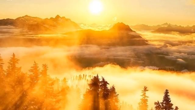 СТИХ!!! ДАРУЕТ БЛАГОСТЬ В СЕРДЦЕ !!! Ты в главной партии!.. смотреть онлайн