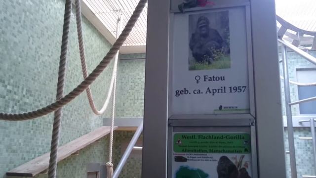 Германия, Берлин, митте и Берлинский зоопарк смотреть онлайн