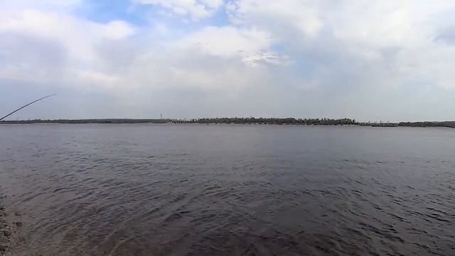 Моркваши смотреть онлайн