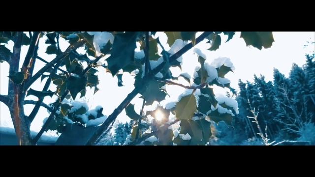 snowy garden смотреть онлайн