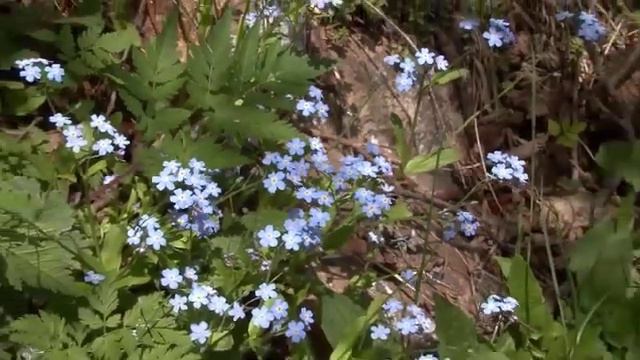 dig r02 3810 1 смотреть онлайн