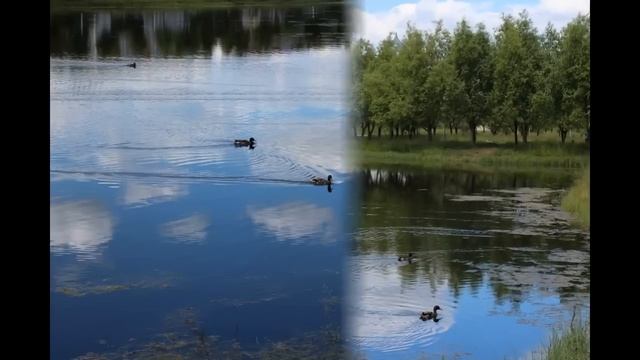 Беларусь. Гомель. Новобелицкий район. смотреть онлайн
