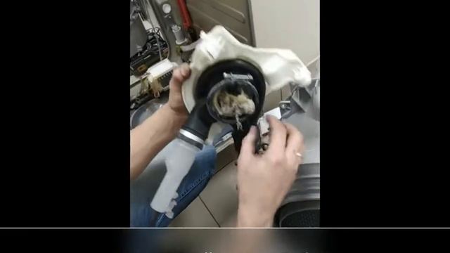 Замена барабана на стиральной машине Electrolux WE170V. смотреть онлайн