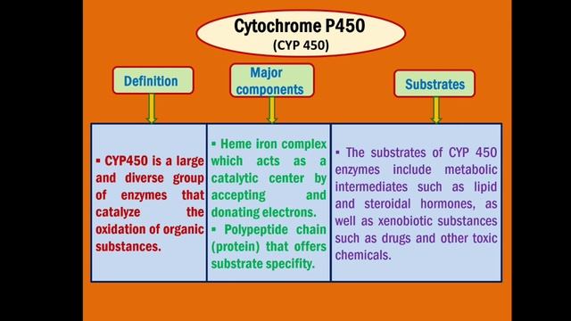 Principles of Toxicology || Xenobiotic metabolism 1 смотреть онлайн