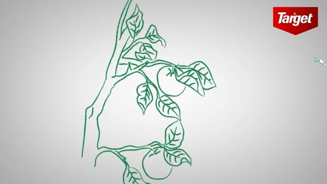 Ridomil смотреть онлайн