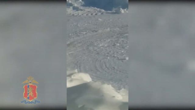 Белый медведь в поселке Диксон смотреть онлайн