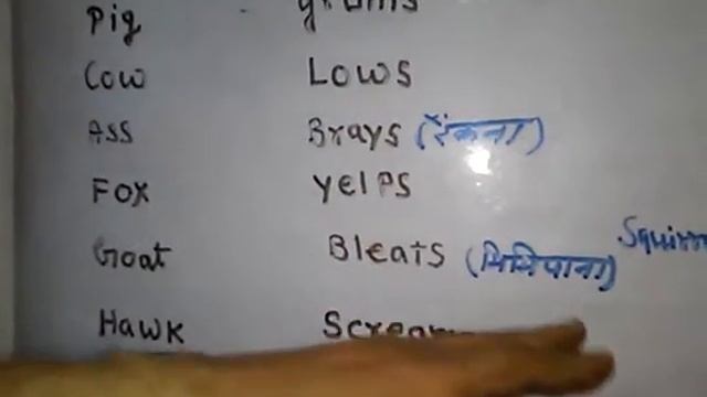 गधा ढेंचु- ढेंचू करता है।( the donkey brays)पशु और पक्षियों की आवाजें (sounds) (in Hindi & English) смотреть онлайн