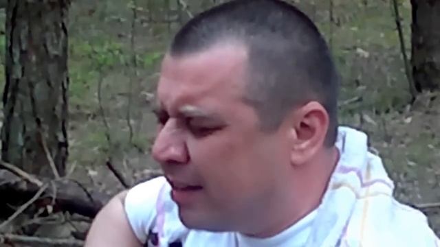 Я в весеннем лесу.mp4 смотреть онлайн