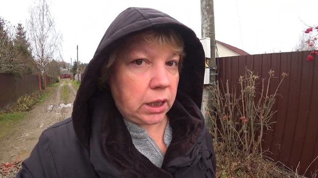 Пройдемся по участку/У сирени зеленые почки?!/ 5 ноября смотреть онлайн