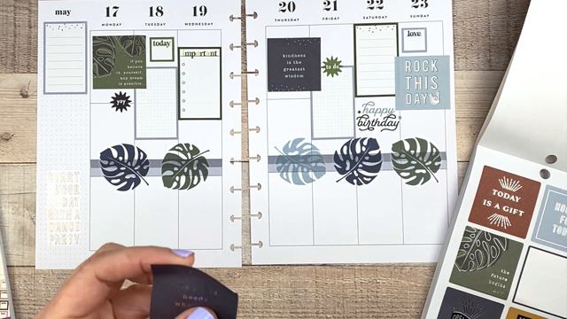 Plan With Me | May 2021 Patron Spreads | Amy and Erica | Classic Happy Planner | Rock This Day смотреть онлайн