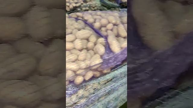 Картофель оптом из Брянска, сорт Королева Анна смотреть онлайн