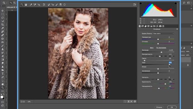Тонирование фотографии в Camera RAW смотреть онлайн