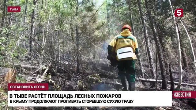 Пятый канал, 28 августа 2024
В Тыве из-за жаркой и сухой погоды продолжает расти площадь пожаров смотреть онлайн
