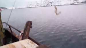 Ура-Губа. Рыбалка с пирса. Зима 2018года.