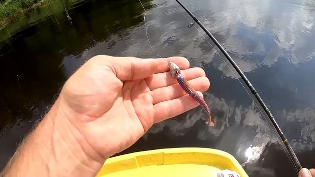 Твичинг для начинающих . Недорогой Спиннинг для твичинга! Maximus Manic или Kaida Engage Twitch смотреть онлайн