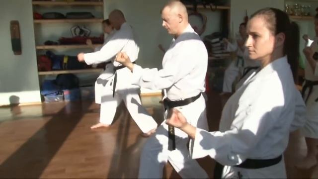Комбинация техник рук в боевых искусствах. Сизов С.В смотреть онлайн