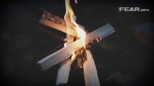 Девушка ушла в лес и загадочно исчезла. Что случилось с Морин Келли