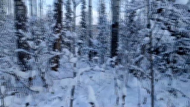 ПВД за Тельбесом. Ч1_03.11.2023 - 05.11.2023. Тест палатки для зимних походов. Проблема с фонариком