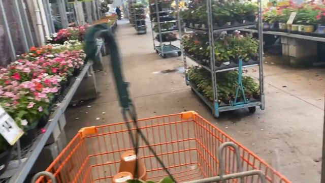 HOME DEPOT & LOWES PLANT VLOG | HOYA FOR $16.98 смотреть онлайн