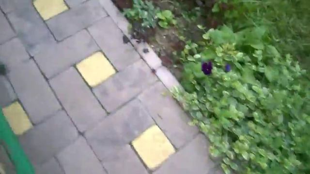 Влог Гуляем с Машей смотреть онлайн