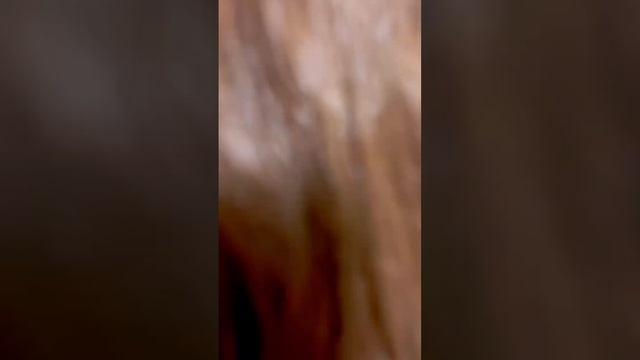 Выполнено кератиновое выпрямление волос??? Запись на процедуры: ?8(919)761-82-86 / сообщения смотреть онлайн