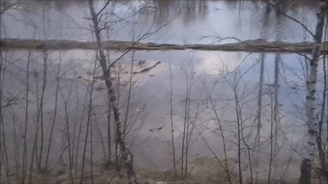 Паводок который перерос в потоп(Дубна 2013)