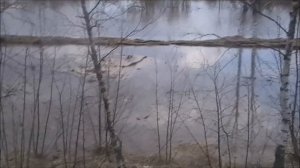 Паводок который перерос в потоп(Дубна 2013)