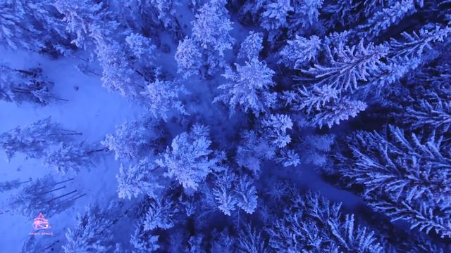 ЛИГА СВЕТА ЗЕМЛЕ | Часть 1 смотреть онлайн