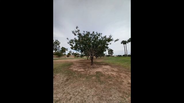 Samsung Galaxy A12 - Complete Review смотреть онлайн