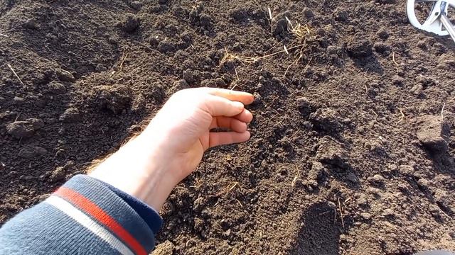 Открытие весеннего сезона! Поиск монет и древних артефактов. 2024 год. смотреть онлайн