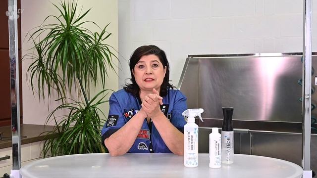 Show Tech+ Quick Fix Spray | TRANSGROOM смотреть онлайн