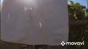 Fetter 7.5 28 грамм 35 метров. Страшный сон утки. Самая лучшая дробь на утку.