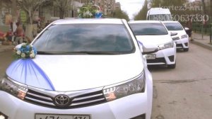 Свадебный авто кортеж в Волгограде. Кортеж 34 - все районы. Машины и украшения на свадьбу