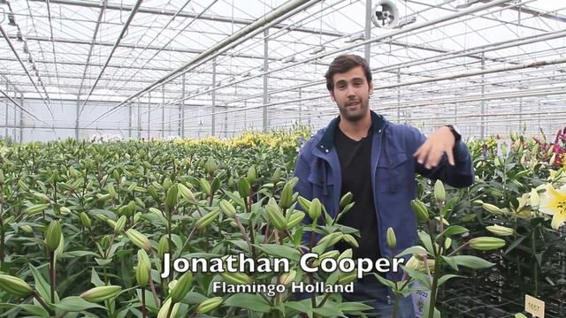 Flowers - Variety of factors to consider when growing смотреть онлайн