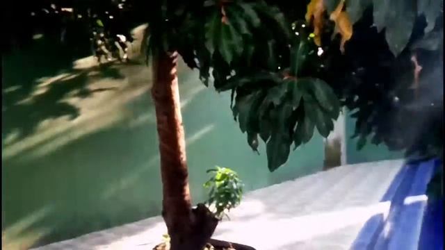 Vegan Homestay + Rooftop Swimming Pool + Lounge on the island of Java #RIZFERD смотреть онлайн