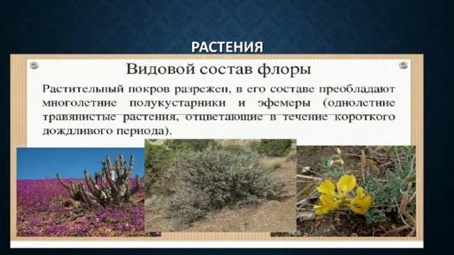 #Мугалим_тв География города Токмок смотреть онлайн