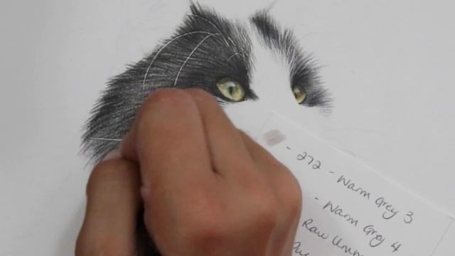 Black & White fur in COLOURED PENCIL смотреть онлайн