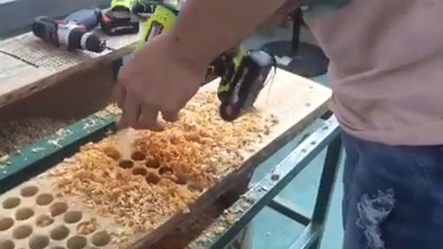 Cordless Drill Xcort