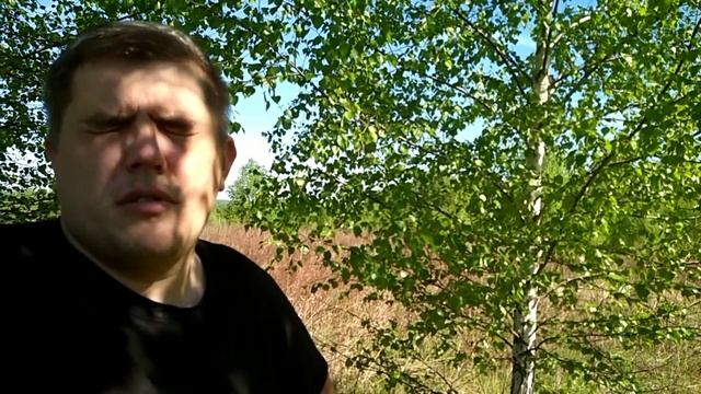 Древесное сено для свиней / Вьетнамские свиньи смотреть онлайн