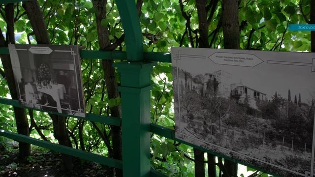 УСАДЬБА АРХАНГЕЛЬСКОЕ, МОСКОВСКАЯ ОБЛАСТЬ, РОССИЯ 4K смотреть онлайн