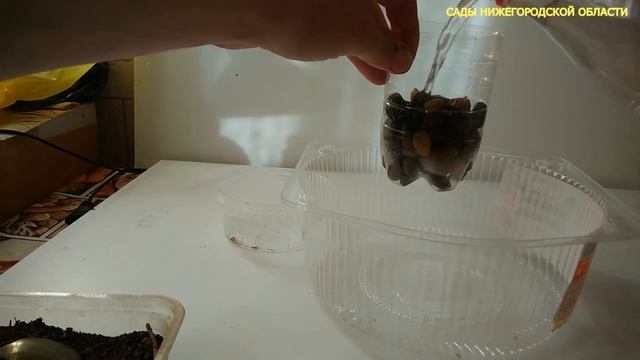 Почему нельзя класть все что попало в посадочную яму смотреть онлайн