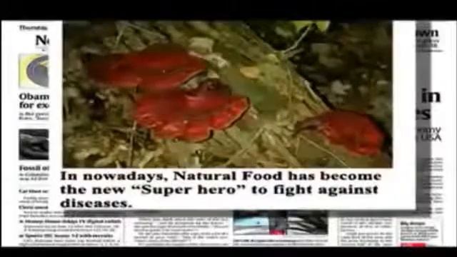 Café negro con GANODERMA Lingzhi смотреть онлайн