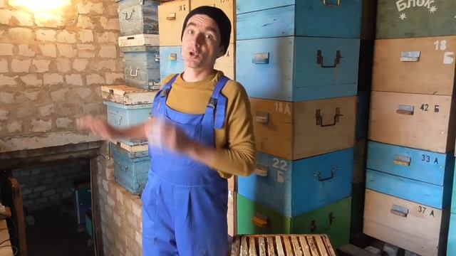 Как сохранить суш зимой. Защита сотовых рамок от моли и мышей.Облет в октябре. смотреть онлайн