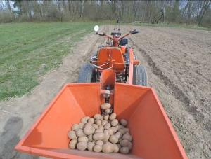 Небольшая модернизация картофелесажалки для мотоблока.